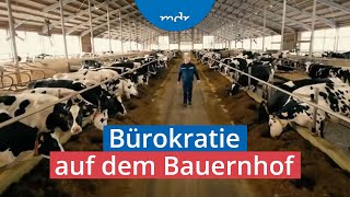 Welche Regelungen Landwirte besonders verärgern  Umschau  MDR [upl. by Atte]