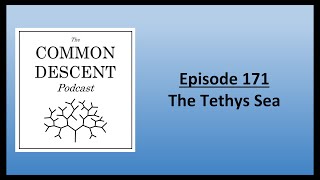 Episode 171  The Tethys Sea [upl. by Tniassuot]