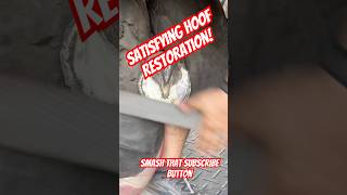 Farrier ASMR Super satisfying Hoof Trim farrier horse satisfying asmr hooftrimming [upl. by Yelsna13]