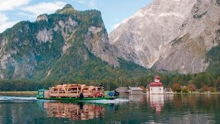 Almabtrieb Berchtesgaden Koenigssee [upl. by Ys]