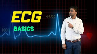 ECG  Electrocardiography ECG  basics  ECG Interpretation Made Easy How to read 12 Lead ECG [upl. by Nordin659]