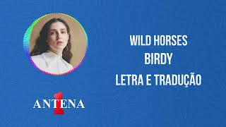 Antena 1  Birdy  Wild Horses  Letra e Tradução [upl. by Nwad596]