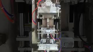 2 Lane Vertical Form Fill Seal Machine Dual Lane Packaging Machine for Liquid and Powder [upl. by Laucsap882]