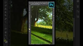 Photoshop Eyedropper Toolshorts [upl. by Euton]