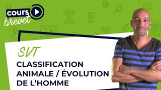 BREVET de SVT  Classification animale  Évolution de lHomme [upl. by Bebe433]