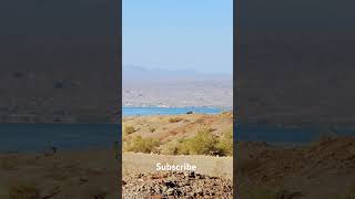 Follow this channel for Lake Havasu City Arizona bank fishing on this lake [upl. by Arrej]