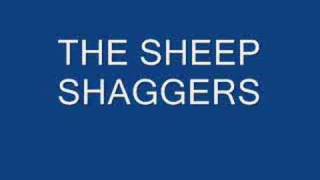 sheep shaggers [upl. by Corbett]