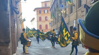 quotGet Ready for Siena Palio 2024 August 16th Spectaclequot [upl. by Shulins255]