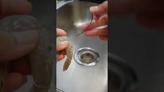 🦐 how to devein shrimp fast with shell on using toothpick [upl. by Belle17]