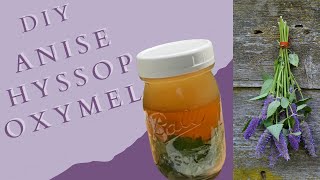 DIY Anise Hyssop Oxymel  How to Make an Oxymel  DIY Hyssop Oxymel  Beginner Herbalism [upl. by Neema]