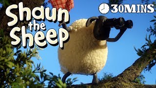 Shaun the Sheep  Season 3  Episodes 1115 30 MINS [upl. by Akilam692]