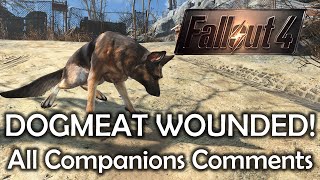 Fallout 4  Dogmeat wounded  All companions comments [upl. by Goraud]