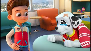 PAW Patrol On a Roll Funny Cartoon Animation Compilation Ultimate Rescue Mission 42 Nick Jr HD [upl. by Nyrahs574]