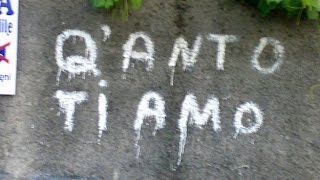 Le Scritte Sbagliate sui Muri  Scritte sbagliate e divertenti [upl. by Kcirdla]