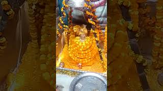 Ekadashi per Baba Dhiraaj budhenath Mahadev ka shringar 🙏🙏🕉️🕉️ mzp [upl. by Arihppas]