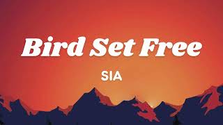 Sia  Bird Set Free Lyrics [upl. by Adnoma]