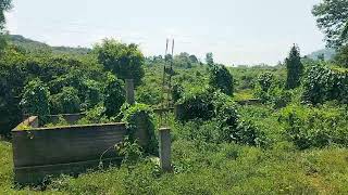 SOLD OUT10 acre agriculture land 7 lak for acre [upl. by Nalepka]