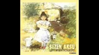 Sezen Aksu  Adem Olan Anlar 1993 [upl. by Yves]