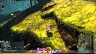 GW2 Hidden Garden Mount Maelstrom jumping puzzle guide [upl. by Bagley]