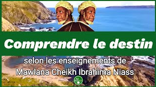 Le Destin Selon Cheikh Ibrahim Niass Un Éclairage Profond sur la Prédestinat chroniquedujour [upl. by Sibeal]