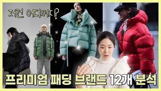 🎅프리미엄패딩 브랜드들 싹 정리힙한 이태리VS 심플한 캐나다 [upl. by Eenyaj]