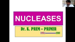 Nucleases DNase RNase [upl. by Mikahs692]