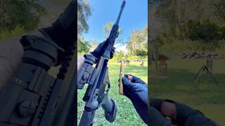 50 BMG Raptor 50 vs DA Targets [upl. by Aan821]