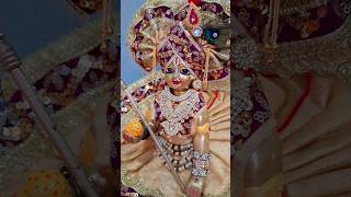 Radhe radhe🙏viralshortsytstudio laddugopalshortsladdugopalshyamguddugussar [upl. by Godliman]