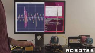 Inverted Pendulum with EMB and Python [upl. by Whipple114]