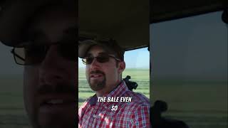 Mastering HAY Baling  Tips for Perfect Bale Size hay johndeere [upl. by Mackie]