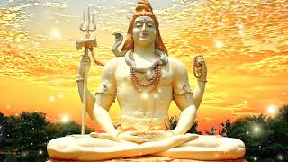 Brahma murari surarchita lingam  Lingashtakam  Prasosham Spacial Song  Sivan Devotinal Songs [upl. by Ger983]