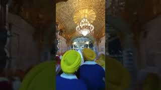 liveSagal bhawan ke Nayika Sri Darbar Sahib  sridarbarsahibshorts daraspyas amritsarvira [upl. by Euqinot61]