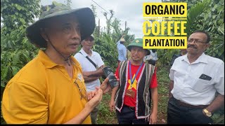 VISITING ORGANIC COFFEE PLANTATION IN VIETNAM DAK LAK ORGANISED BY HASIRU AGRI TOURISM [upl. by Einnil712]