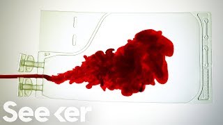 What Really Happens to Your Blood After You Donate [upl. by Luciano]