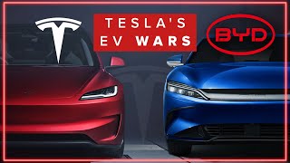 The TRUTH About Chinese BYD amp Tesla  Which Is The Best [upl. by Arraes]