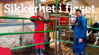 Sikkerhet i fjøset med hev og senkeporter [upl. by Loziram]