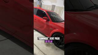 DID I REALLY CAM MY WIDEBODY SCAT PACK CHARGER 🤔🤔🤔 [upl. by Arihs230]