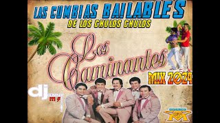 LOS CAMINANTES 🔥CUMBIAS TROPICALES 🔥MIX 2024 [upl. by Adnalohs605]