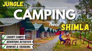 Shimla Camping  Best Place To Stay In Shimla  Hotels In Chail  Jungle Stays  Hotels In Shimla [upl. by Linoel]