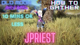 HOW TO GATHER IN BDO  OLD MOON EVENT JETIAN SEALS [upl. by Seton]