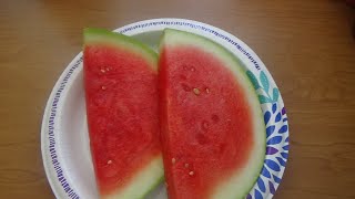 ASMR Eating Watermelon No Talking [upl. by Brendis]