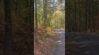 10 mile Tuesday morning run outdoors fall running [upl. by Ekyt]