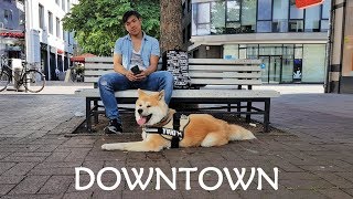 AKITA INU  Downtown  秋田犬 [upl. by Dombrowski105]