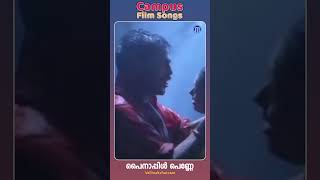 Pynapple Penne  Vellinakshatram  Campus Film Songs shortsfeed shorts shortsvideo campus [upl. by Ymmit]