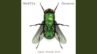 Gadfly Groove [upl. by Aiekan]