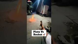 pluto Ki Traf Se Happy Diwali 🚀  minivlog diwali doglover [upl. by Cline]