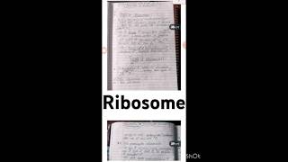 Bsc 1 sem ribosome in hindi notes biology [upl. by Hacissej]