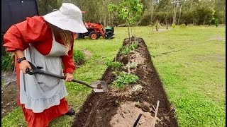 Effortless Lawn Edges A Dream for the LAZY Gardener [upl. by Layor]