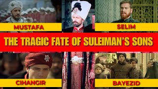 The Tragic Fate of Sultan Suleimans sons mustafa mehmed bayezid cihangir selim [upl. by Grogan143]