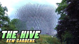 KEW GARDENS  THE HIVE  England 4k [upl. by Colvert828]